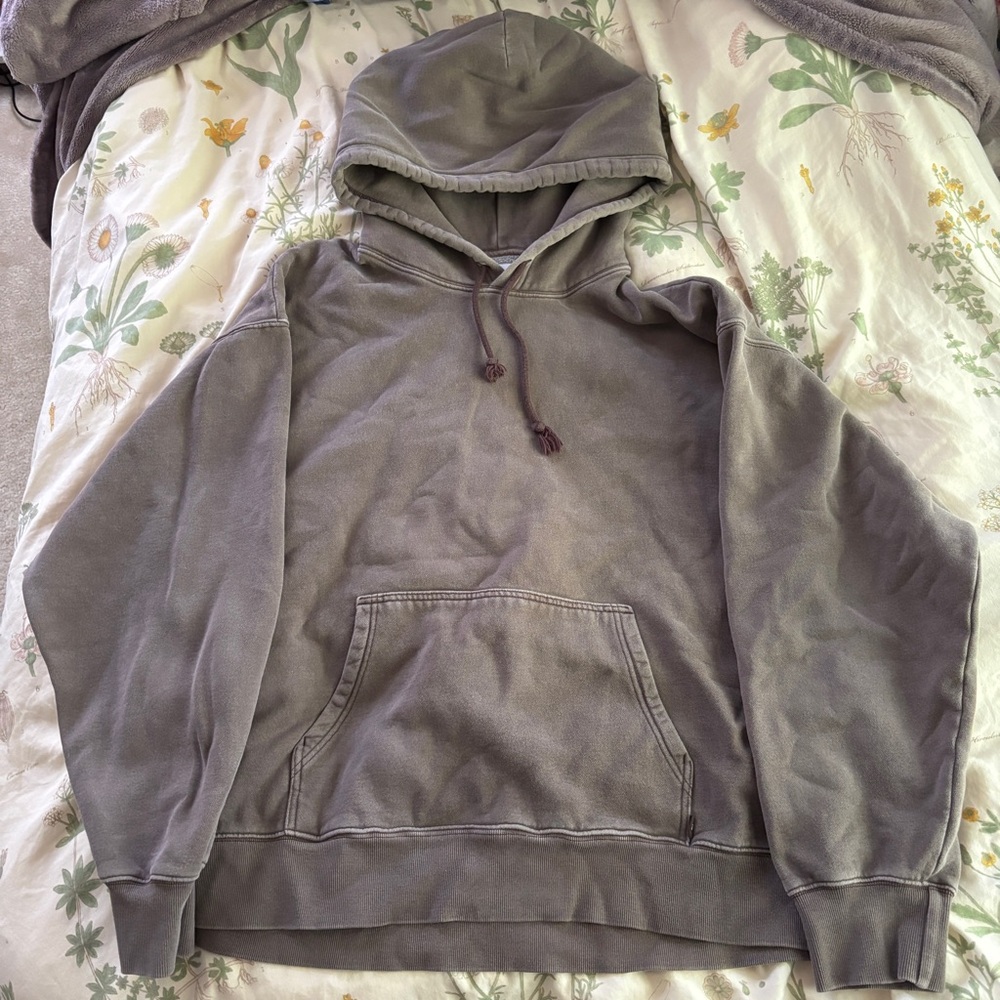 Aritzia TNA Gray Hoodie